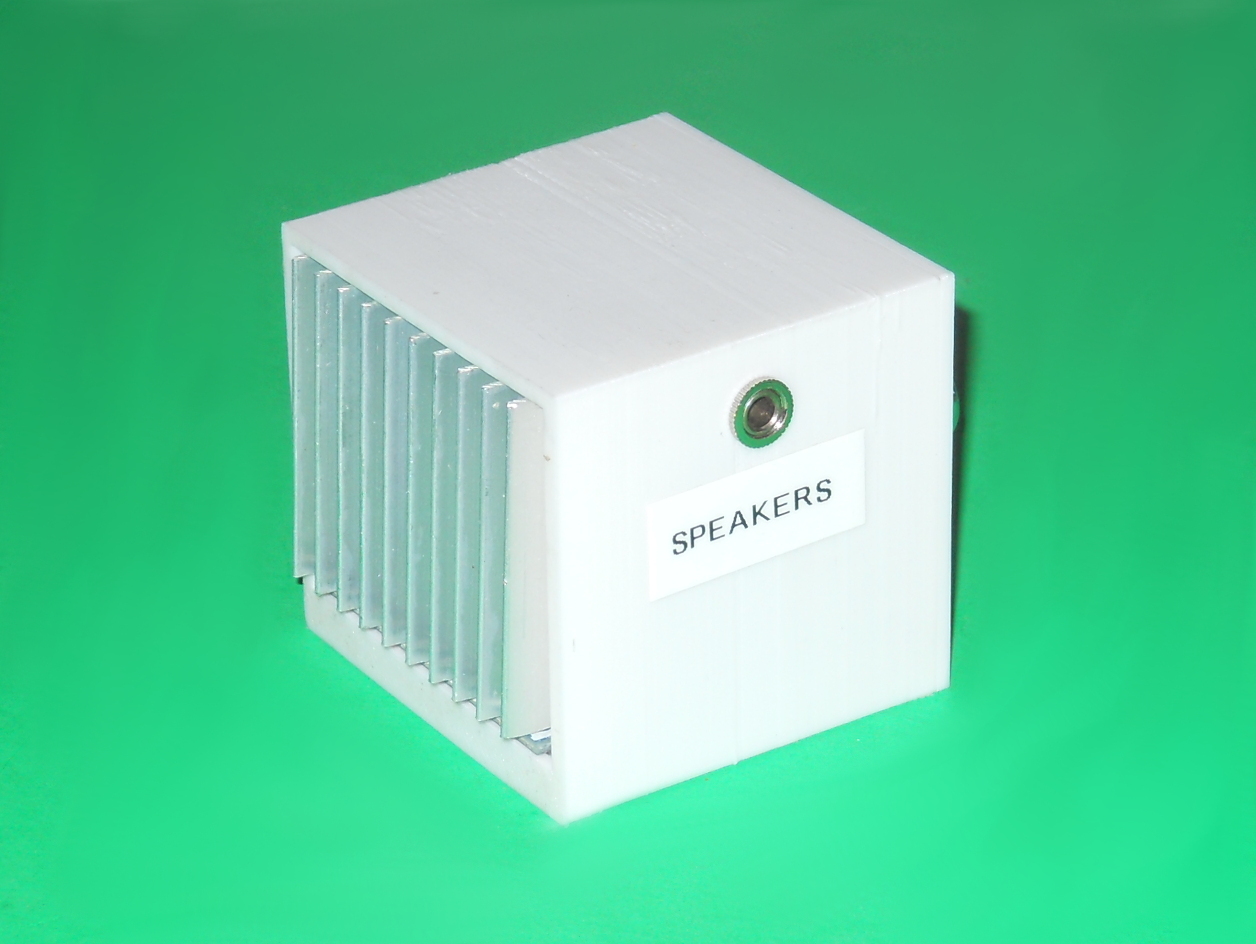 15W Stereo Amplifier Case
